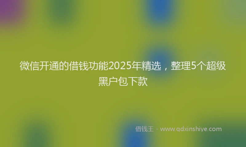 微信开通的借钱功能2025年精选，整理5个超级黑户包下款