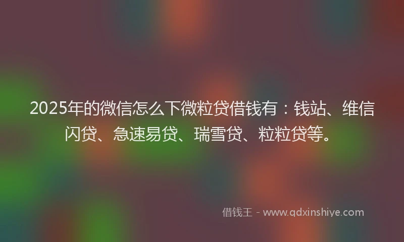 2025年的微信怎么下微粒贷借钱有：钱站、维信闪贷、急速易贷、瑞雪贷、粒粒贷等。