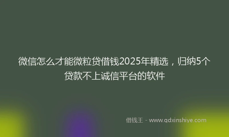 微信怎么才能微粒贷借钱2025年精选，归纳5个贷款不上诚信平台的软件