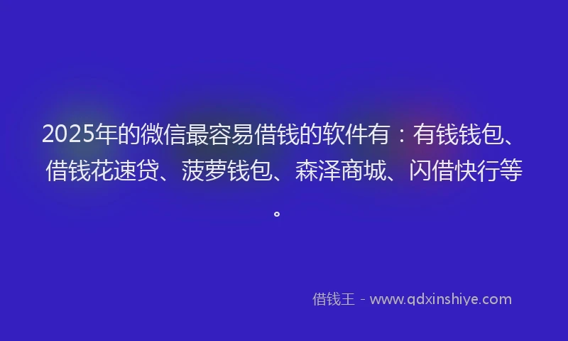 2025年的微信最容易借钱的软件有：有钱钱包、借钱花速贷、菠萝钱包、森泽商城、闪借快行等。