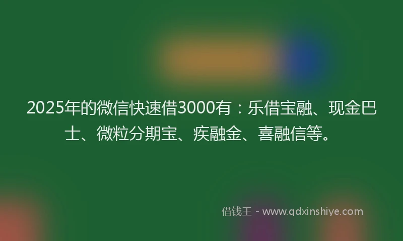2025年的微信快速借3000有：乐借宝融、现金巴士、微粒分期宝、疾融金、喜融信等。