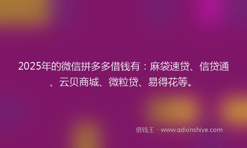 2025年的微信拼多多借钱有：麻袋速贷、信贷通、云贝商城、微粒贷、易得花等。