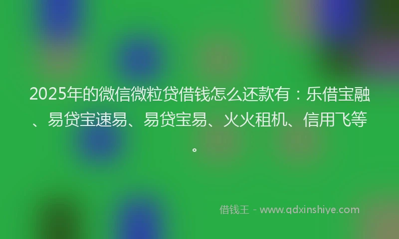 2025年的微信微粒贷借钱怎么还款有：乐借宝融、易贷宝速易、易贷宝易、火火租机、信用飞等。