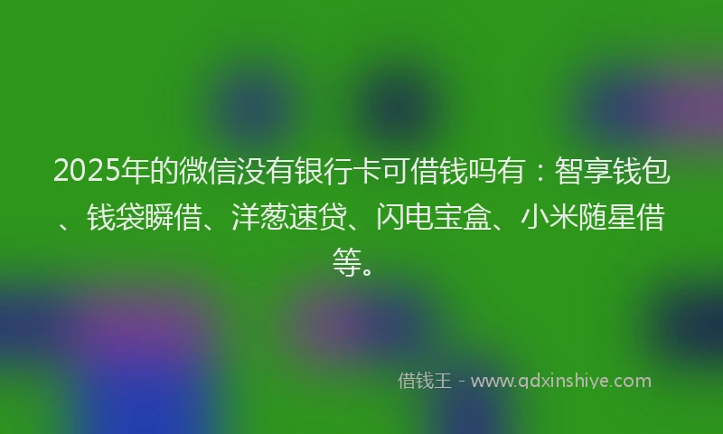 2025年的微信没有银行卡可借钱吗有：智享钱包、钱袋瞬借、洋葱速贷、闪电宝盒、小米随星借等。