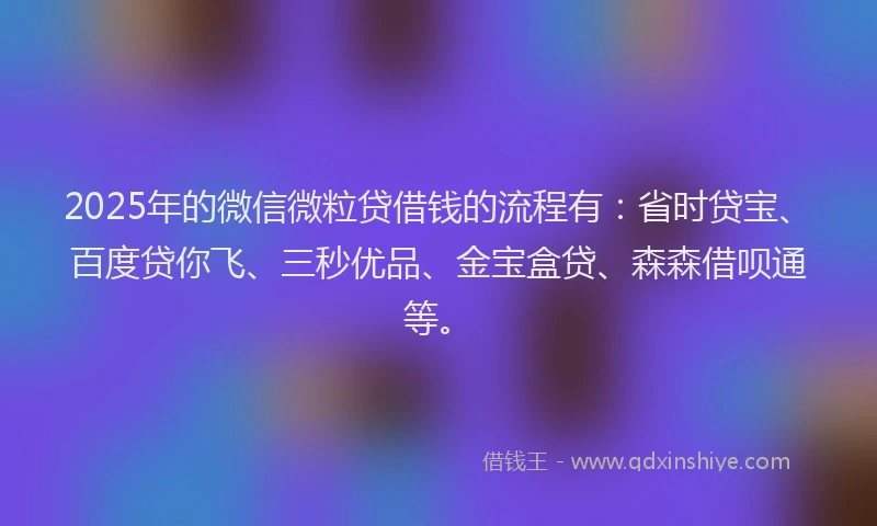 2025年的微信微粒贷借钱的流程有：省时贷宝、百度贷你飞、三秒优品、金宝盒贷、森森借呗通等。