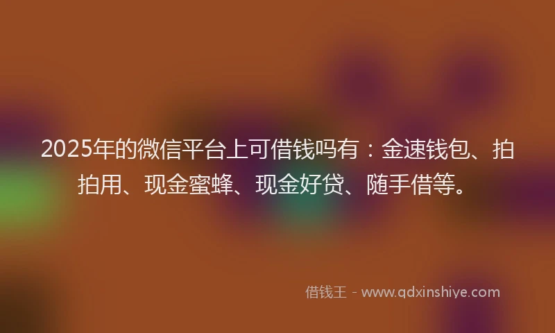 2025年的微信平台上可借钱吗有：金速钱包、拍拍用、现金蜜蜂、现金好贷、随手借等。