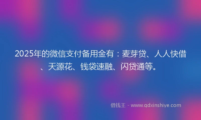 2025年的微信支付备用金有：麦芽贷、人人快借、天源花、钱袋速融、闪贷通等。