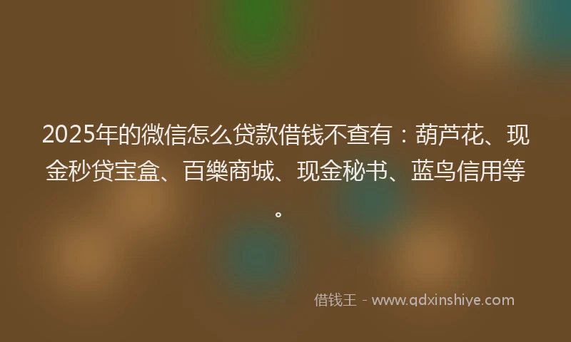 2025年的微信怎么贷款借钱不查有：葫芦花、现金秒贷宝盒、百樂商城、现金秘书、蓝鸟信用等。