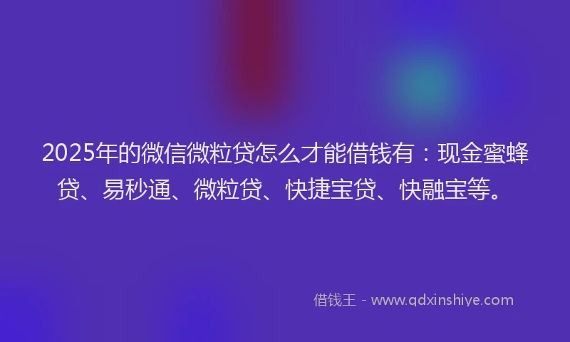 2025年的微信微粒贷怎么才能借钱有：现金蜜蜂贷、易秒通、微粒贷、快捷宝贷、快融宝等。