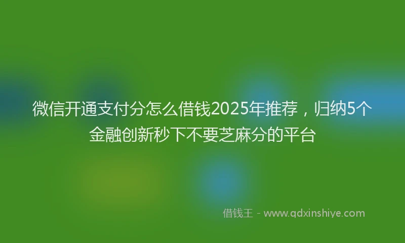 微信开通支付分怎么借钱2025年推荐，归纳5个金融创新秒下不要芝麻分的平台