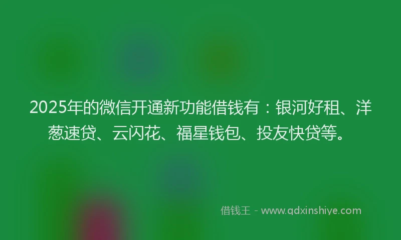 2025年的微信开通新功能借钱有：银河好租、洋葱速贷、云闪花、福星钱包、投友快贷等。