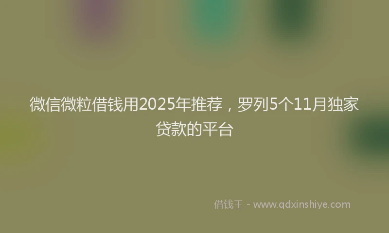 微信微粒借钱用2025年推荐，罗列5个11月独家贷款的平台