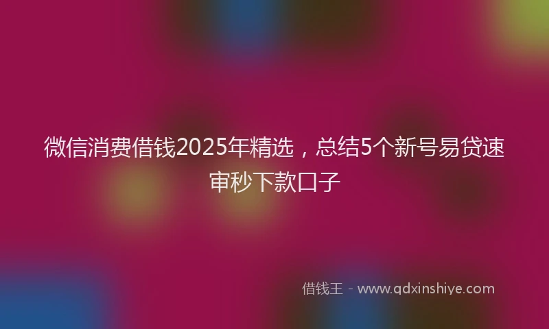 微信消费借钱2025年精选，总结5个新号易贷速审秒下款口子