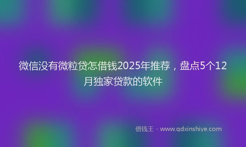微信没有微粒贷怎借钱2025年推荐，盘点5个12月独家贷款的软件
