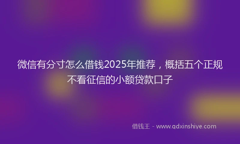 微信有分寸怎么借钱2025年推荐，概括五个正规不看征信的小额贷款口子