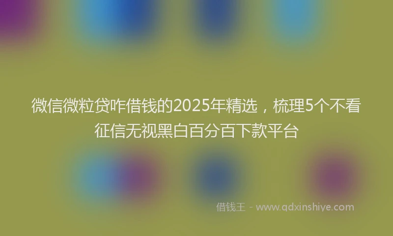 微信微粒贷咋借钱的2025年精选，梳理5个不看征信无视黑白百分百下款平台