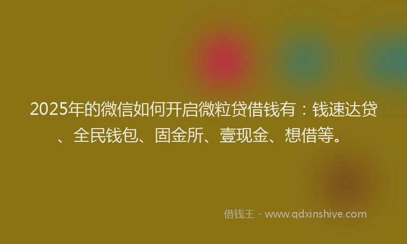 2025年的微信如何开启微粒贷借钱有：钱速达贷、全民钱包、固金所、壹现金、想借等。