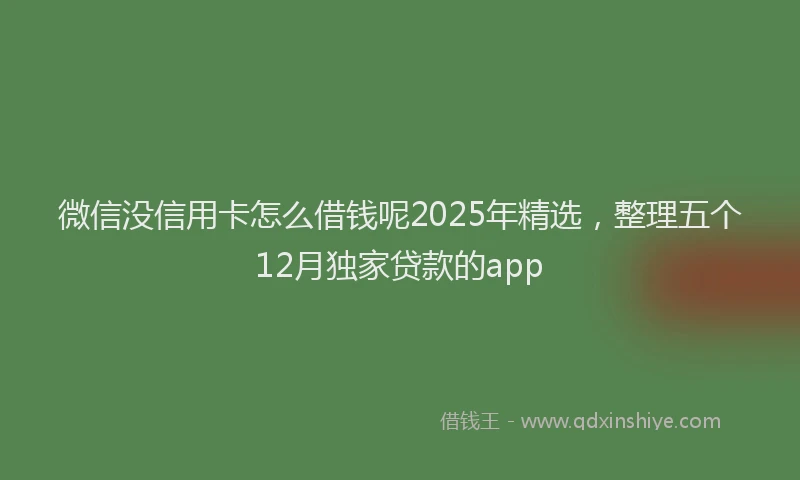 微信没信用卡怎么借钱呢2025年精选，整理五个12月独家贷款的app