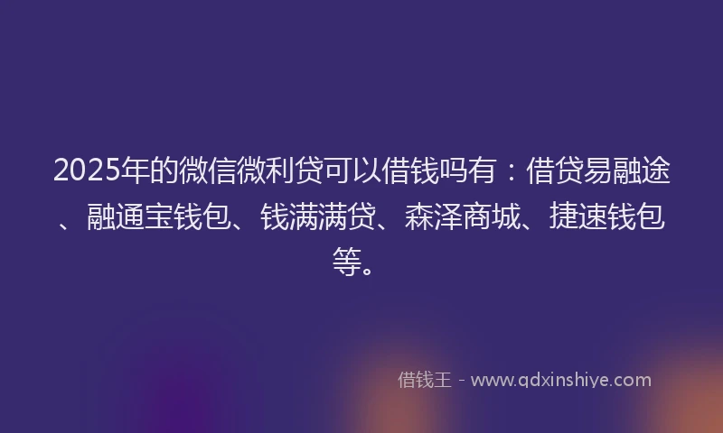 2025年的微信微利贷可以借钱吗有：借贷易融途、融通宝钱包、钱满满贷、森泽商城、捷速钱包等。