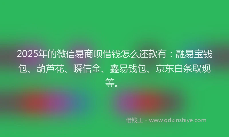 2025年的微信易商呗借钱怎么还款有：融易宝钱包、葫芦花、瞬信金、鑫易钱包、京东白条取现等。