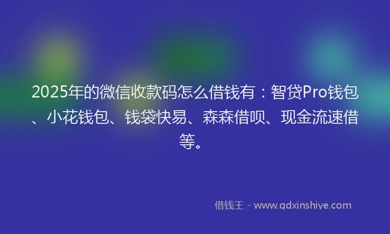 2025年的微信收款码怎么借钱有：智贷Pro钱包、小花钱包、钱袋快易、森森借呗、现金流速借等。