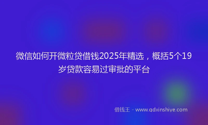 微信如何开微粒贷借钱2025年精选，概括5个19岁贷款容易过审批的平台