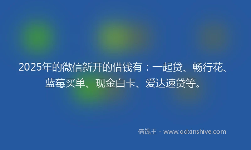 2025年的微信新开的借钱有：一起贷、畅行花、蓝莓买单、现金白卡、爱达速贷等。