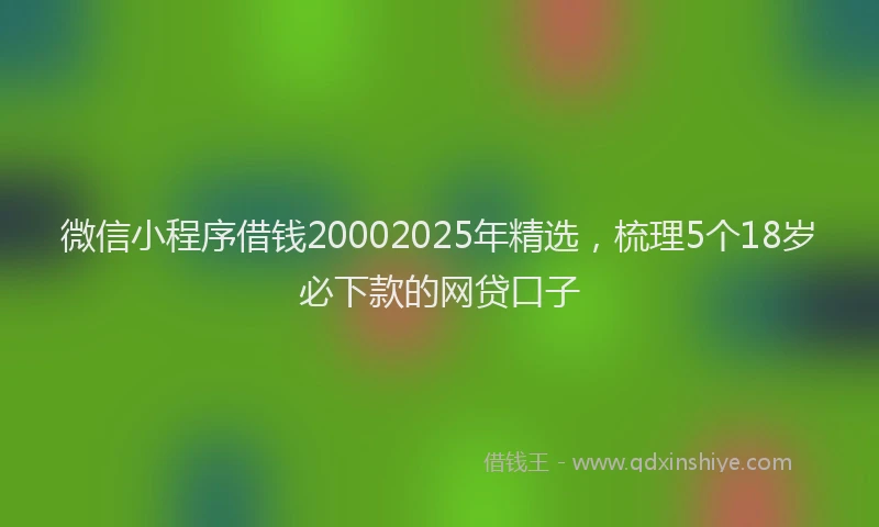 微信小程序借钱20002025年精选，梳理5个18岁必下款的网贷口子