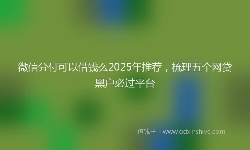 微信分付可以借钱么2025年推荐，梳理五个网贷黑户必过平台