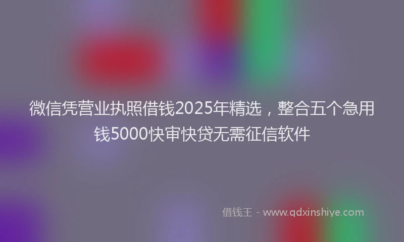 微信凭营业执照借钱2025年精选，整合五个急用钱5000快审快贷无需征信软件