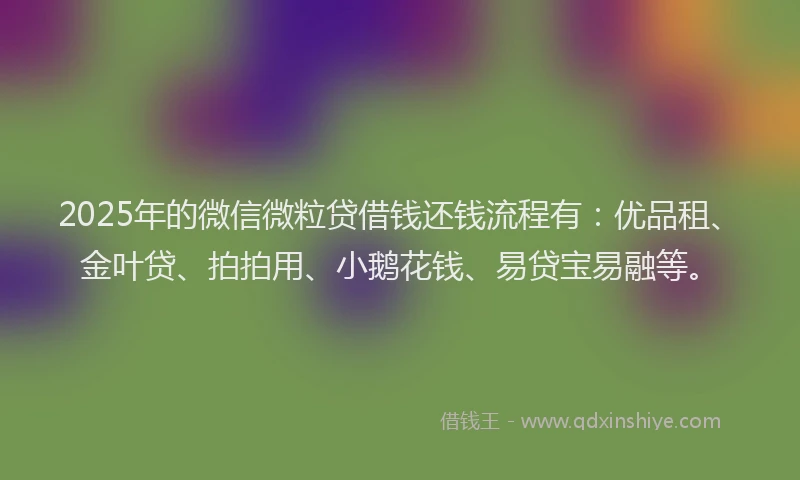2025年的微信微粒贷借钱还钱流程有：优品租、金叶贷、拍拍用、小鹅花钱、易贷宝易融等。