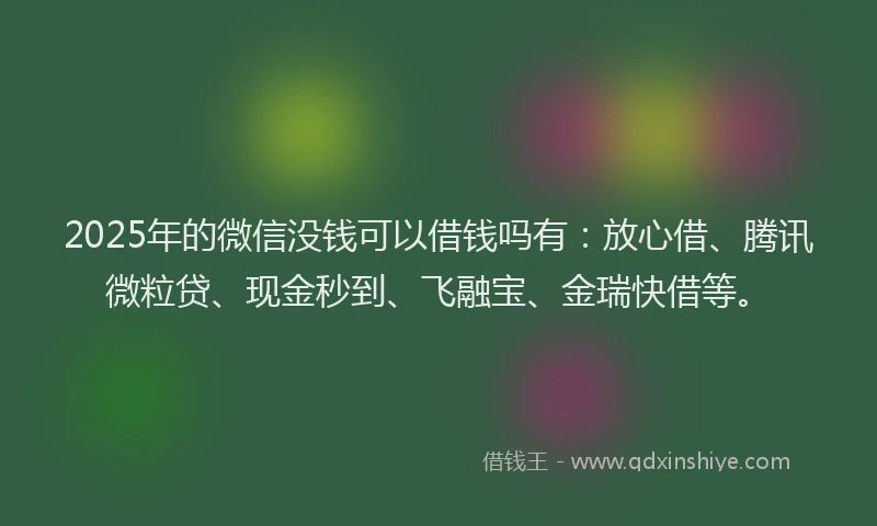 2025年的微信没钱可以借钱吗有：放心借、腾讯微粒贷、现金秒到、飞融宝、金瑞快借等。