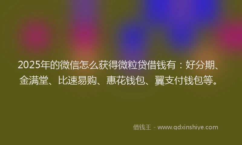 2025年的微信怎么获得微粒贷借钱有：好分期、金满堂、比速易购、惠花钱包、翼支付钱包等。