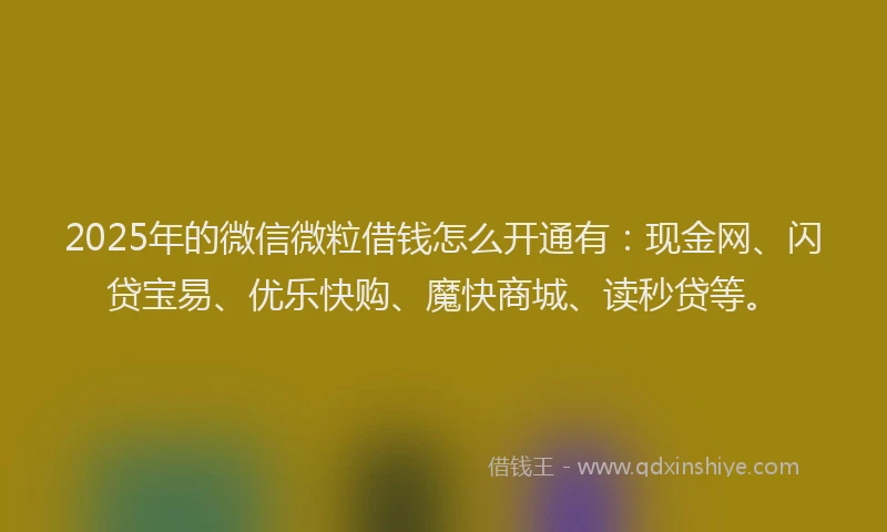2025年的微信微粒借钱怎么开通有：现金网、闪贷宝易、优乐快购、魔快商城、读秒贷等。