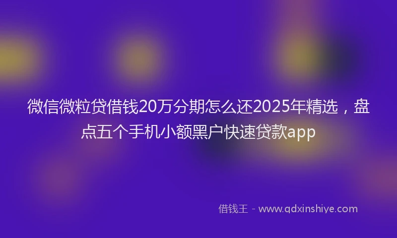 微信微粒贷借钱20万分期怎么还2025年精选，盘点五个手机小额黑户快速贷款app