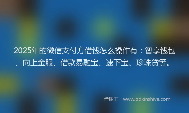 2025年的微信支付方借钱怎么操作有：智享钱包、向上金服、借款易融宝、速下宝、珍珠贷等。