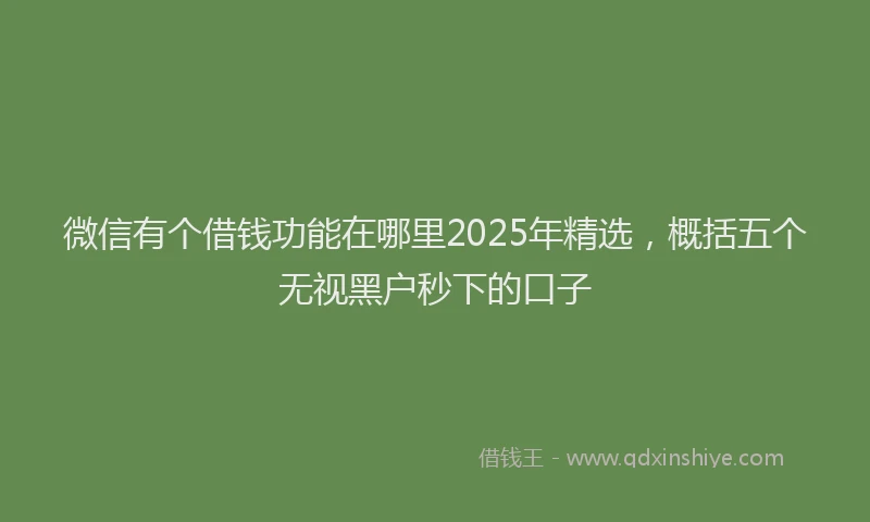 微信有个借钱功能在哪里2025年精选，概括五个无视黑户秒下的口子