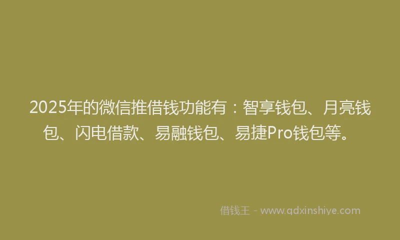2025年的微信推借钱功能有：智享钱包、月亮钱包、闪电借款、易融钱包、易捷Pro钱包等。