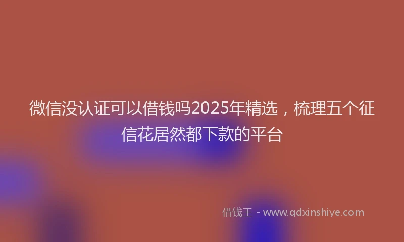 微信没认证可以借钱吗2025年精选，梳理五个征信花居然都下款的平台