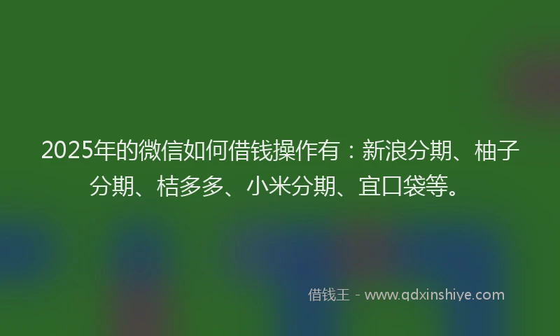 2025年的微信如何借钱操作有：新浪分期、柚子分期、桔多多、小米分期、宜口袋等。