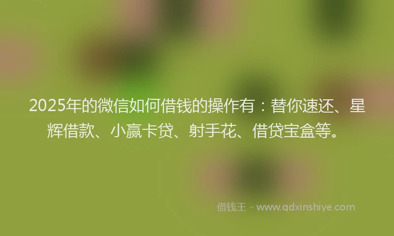 2025年的微信如何借钱的操作有：替你速还、星辉借款、小赢卡贷、射手花、借贷宝盒等。