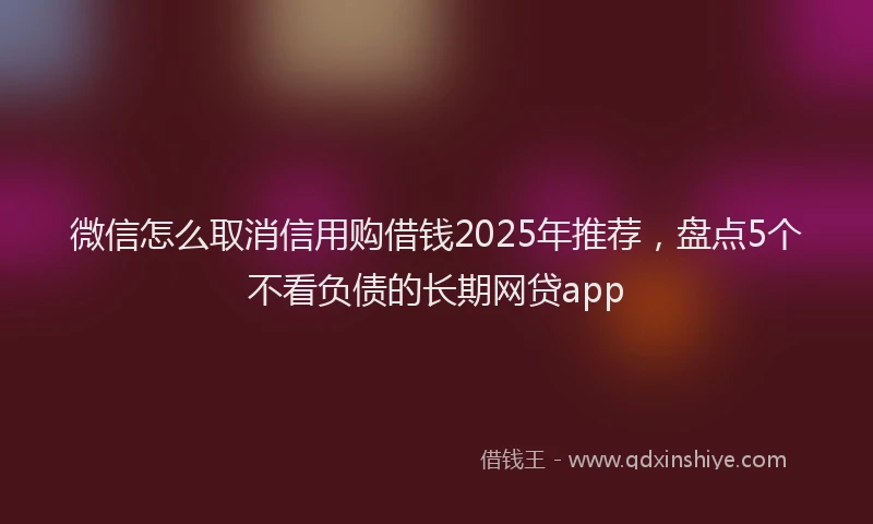 微信怎么取消信用购借钱2025年推荐，盘点5个不看负债的长期网贷app