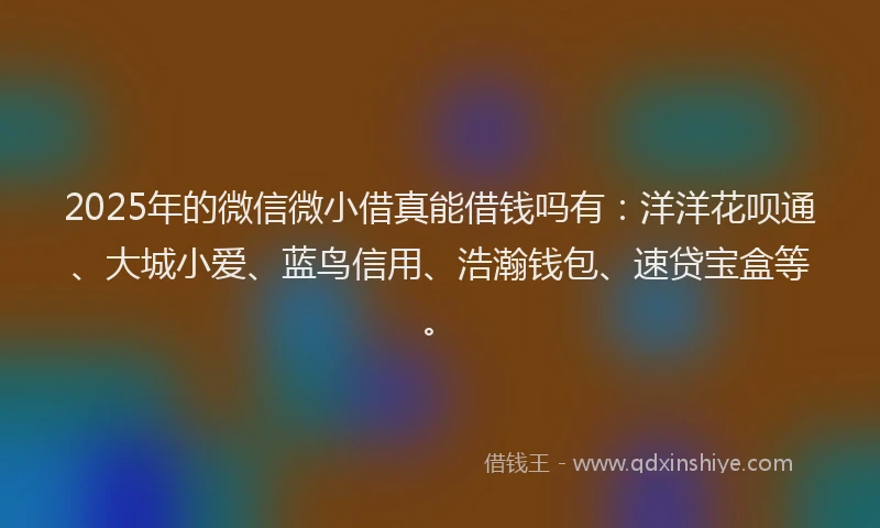 2025年的微信微小借真能借钱吗有：洋洋花呗通、大城小爱、蓝鸟信用、浩瀚钱包、速贷宝盒等。