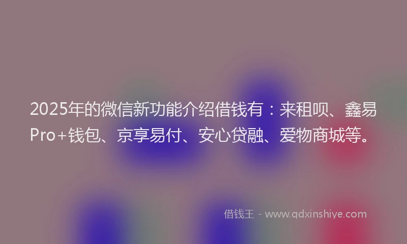 2025年的微信新功能介绍借钱有：来租呗、鑫易Pro+钱包、京享易付、安心贷融、爱物商城等。