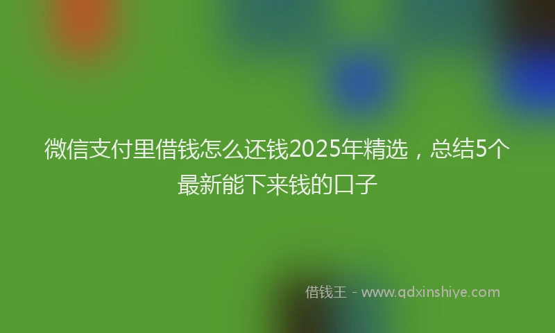 微信支付里借钱怎么还钱2025年精选，总结5个最新能下来钱的口子