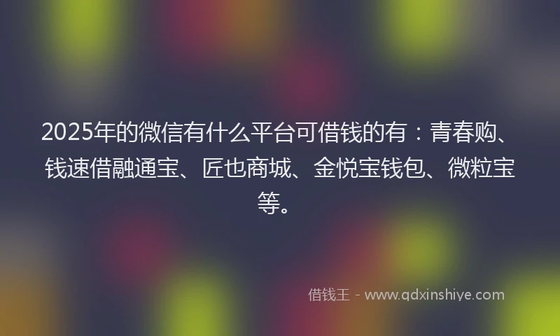 2025年的微信有什么平台可借钱的有：青春购、钱速借融通宝、匠也商城、金悦宝钱包、微粒宝等。