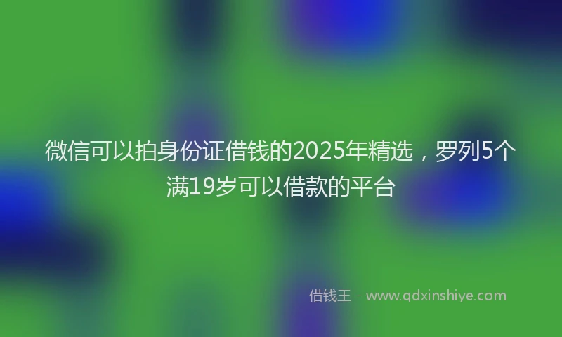 微信可以拍身份证借钱的2025年精选，罗列5个满19岁可以借款的平台