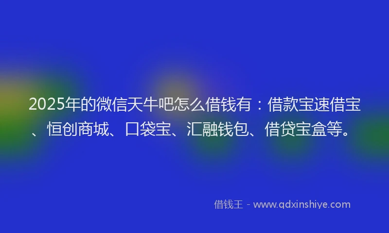 2025年的微信天牛吧怎么借钱有：借款宝速借宝、恒创商城、口袋宝、汇融钱包、借贷宝盒等。