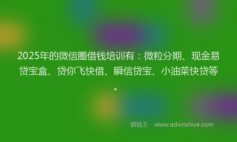 2025年的微信圈借钱培训有：微粒分期、现金易贷宝盒、贷你飞快借、瞬信贷宝、小油菜快贷等。