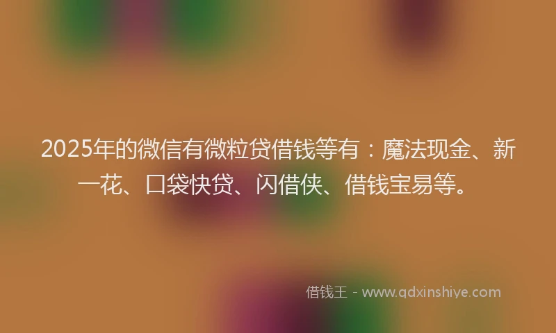 2025年的微信有微粒贷借钱等有：魔法现金、新一花、口袋快贷、闪借侠、借钱宝易等。